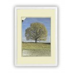 Fotorámeček dřevěný 28x35, bílý, BERLÍN