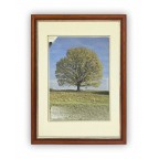 Fotorámeček dřevěný 28x35, sv.hn. KRUMLOV