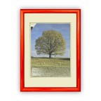 Fotorámeček dřevěný 24x30, oranž. ROMA 