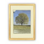 Fotorámeček dřevěný 24x30, přír. ROMA 
