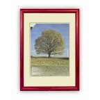 Fotorámeček dřevěný 24x30, červ. ROMA 