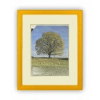 Fotorámeček dřevěný 28x35, žlutá SAMBA 