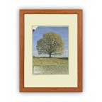 Fotorámeček dřevěný 28x35, sv.hn. SAMBA 