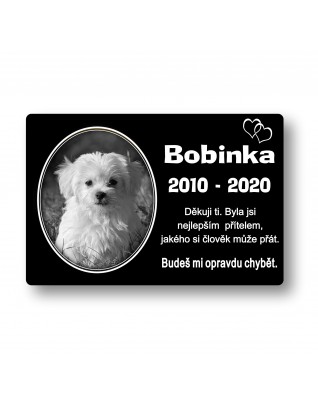 Pamětní plaketa 10x15cm Z1057 Pamětní plaketa 10x15cm Z1057