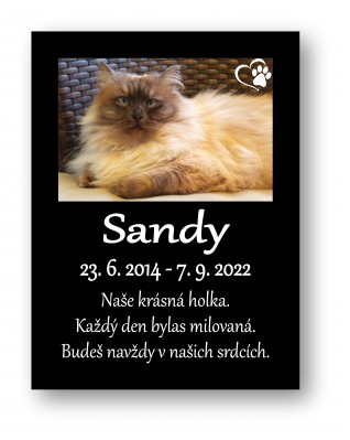 Pamětní plaketa 15x20cm Z1564 Pamětní plaketa 15x20cm Z1564